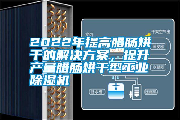 2022年提高臘腸烘干的解決方案，提升產量臘腸烘干型工業除濕機