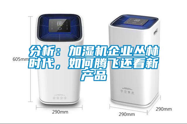 分析：加濕機(jī)企業(yè)叢林時代，如何騰飛還看新產(chǎn)品