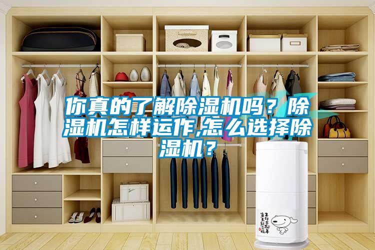 你真的了解除濕機嗎？除濕機怎樣運作,怎么選擇除濕機？