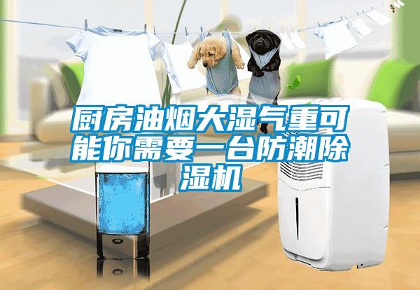 廚房油煙大濕氣重可能你需要一臺防潮除濕機