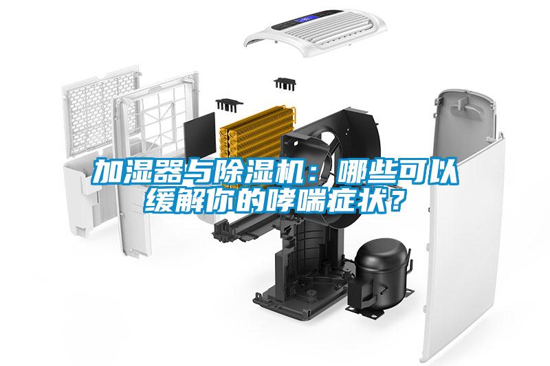 加濕器與除濕機(jī)：哪些可以緩解你的哮喘癥狀？