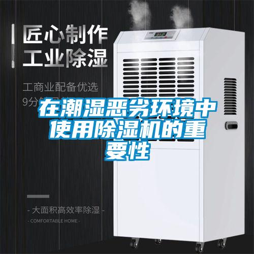 在潮濕惡劣環境中使用除濕機的重要性