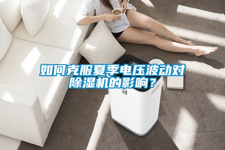 如何克服夏季電壓波動對除濕機的影響？