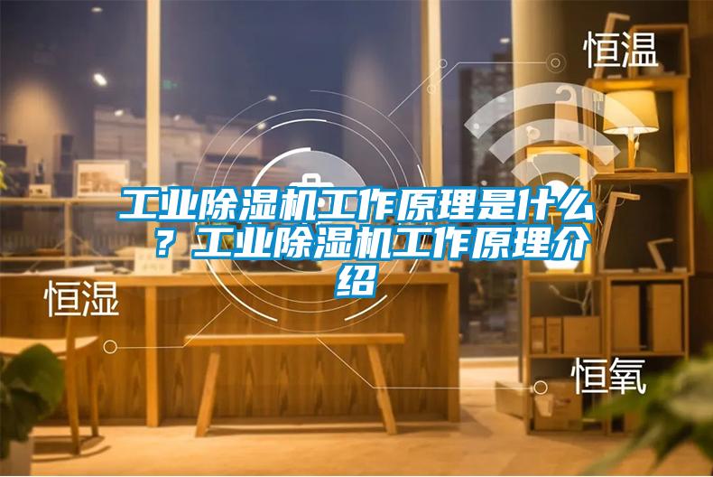 工業(yè)除濕機工作原理是什么 ？工業(yè)除濕機工作原理介紹