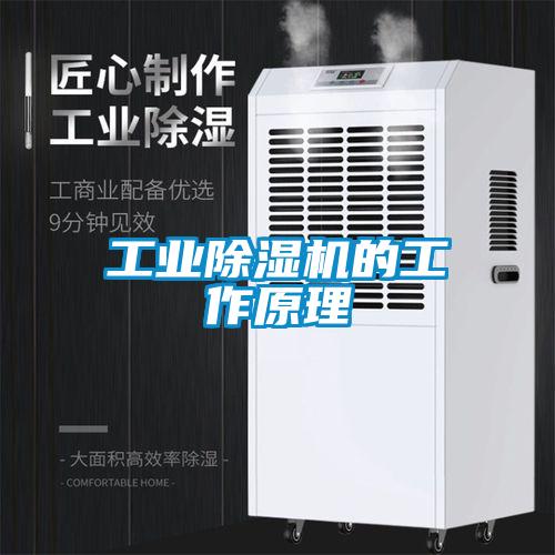 工業除濕機的工作原理