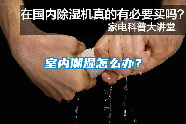 室內潮濕怎么辦？