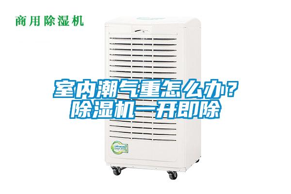 室內潮氣重怎么辦？除濕機一開即除