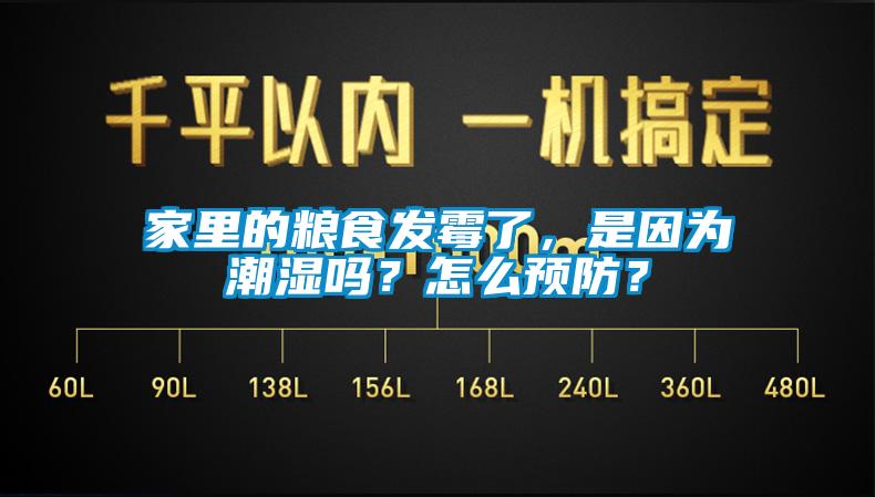 家里的糧食發霉了，是因為潮濕嗎？怎么預防？