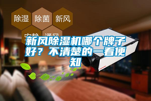 新風除濕機哪個牌子好？不清楚的一看便知