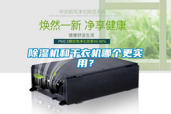 除濕機和干衣機哪個更實用？