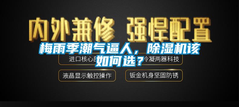 梅雨季潮氣逼人，除濕機該如何選？