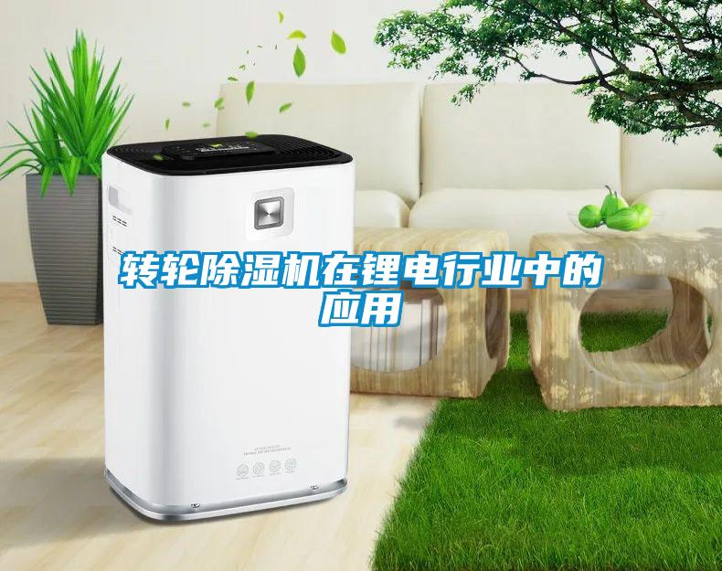 轉輪除濕機在鋰電行業中的應用