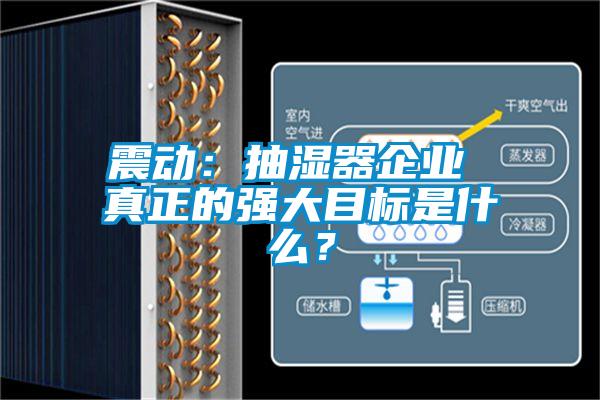 震動：抽濕器企業 真正的強大目標是什么？