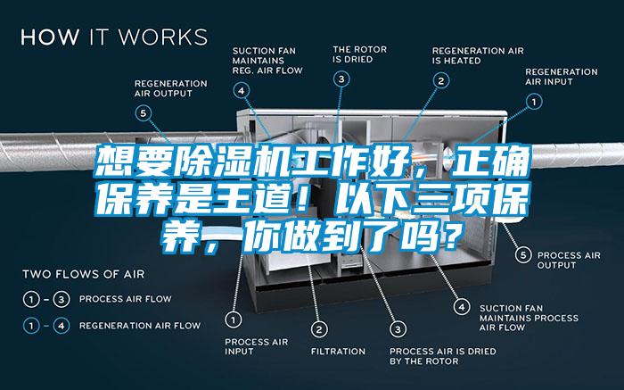 想要除濕機工作好，正確保養是王道！以下三項保養，你做到了嗎？