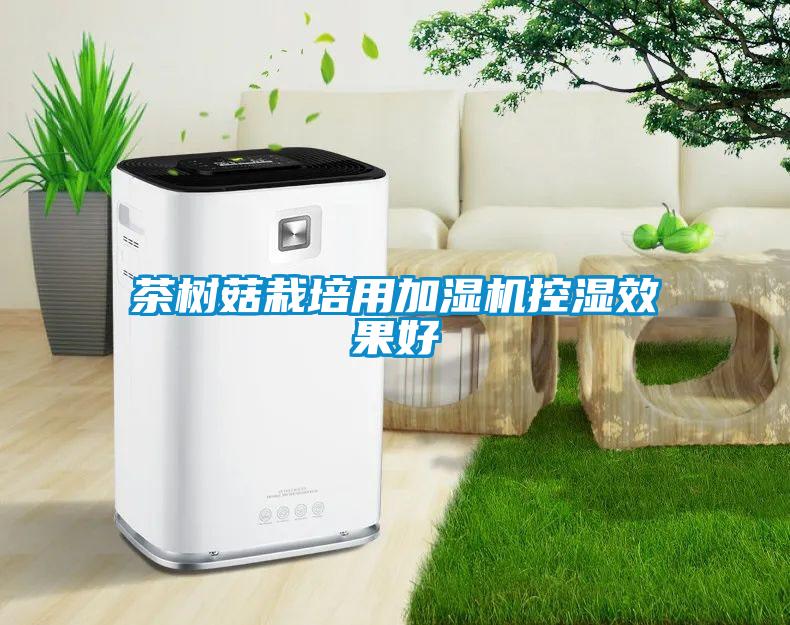 茶樹菇栽培用加濕機控濕效果好