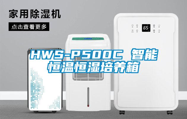 HWS-P500C 智能恒溫恒濕培養箱