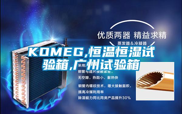 KOMEG,恒溫恒濕試驗箱,廣州試驗箱