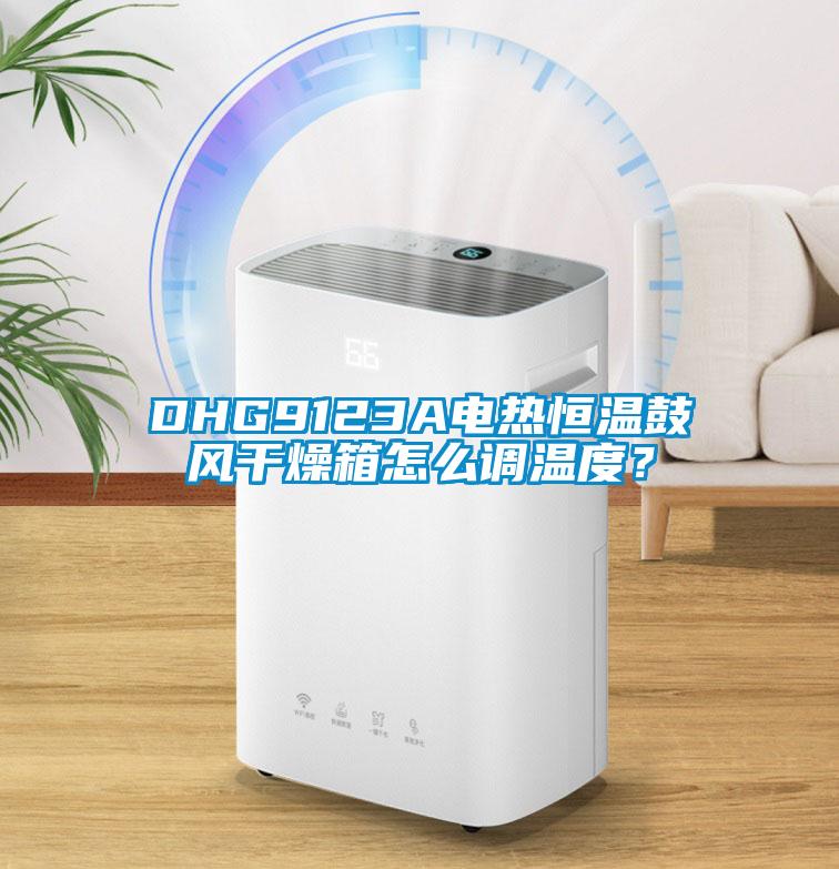 DHG9123A電熱恒溫鼓風干燥箱怎么調溫度？