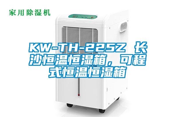 KW-TH-225Z 長(zhǎng)沙恒溫恒濕箱，可程式恒溫恒濕箱