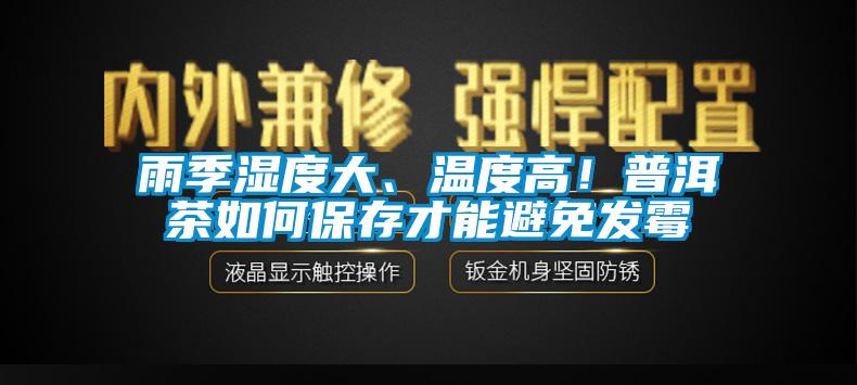 雨季濕度大、溫度高！普洱茶如何保存才能避免發霉