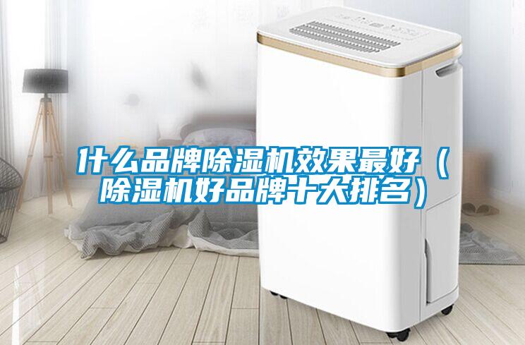 什么品牌除濕機效果最好（除濕機好品牌十大排名）