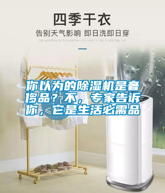 你以為的除濕機(jī)是奢侈品？不，專家告訴你，它是生活必需品