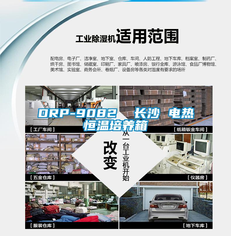 DRP-9082  長沙 電熱恒溫培養箱