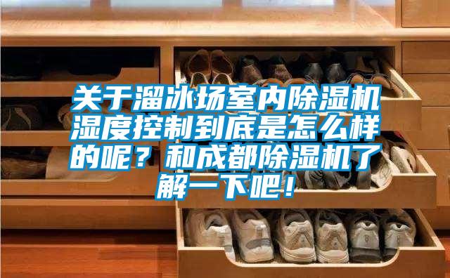 關于溜冰場室內除濕機濕度控制到底是怎么樣的呢？和成都除濕機了解一下吧！