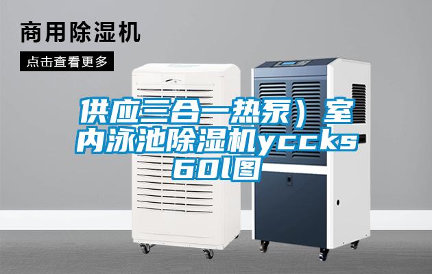 供應三合一熱泵）室內泳池除濕機yccks60l圖