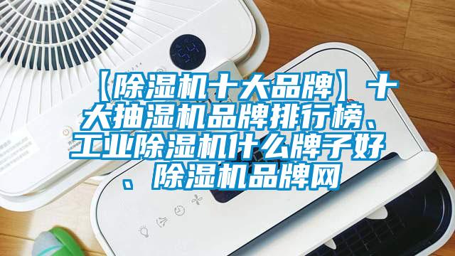 【除濕機十大品牌】十大抽濕機品牌排行榜、工業除濕機什么牌子好、除濕機品牌網