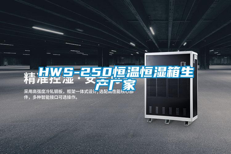 HWS-250恒溫恒濕箱生產廠家