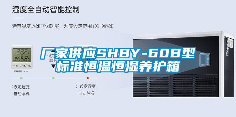 廠家供應SHBY-60B型標準恒溫恒濕養護箱