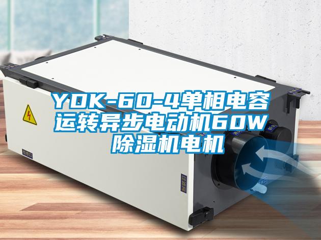 YDK-60-4單相電容運轉(zhuǎn)異步電動機(jī)60W 除濕機(jī)電機(jī)