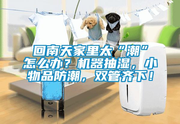 回南天家里太“潮”怎么辦？機(jī)器抽濕，小物品防潮，雙管齊下！