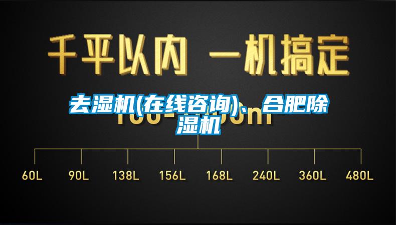 去濕機(jī)(在線咨詢)、合肥除濕機(jī)