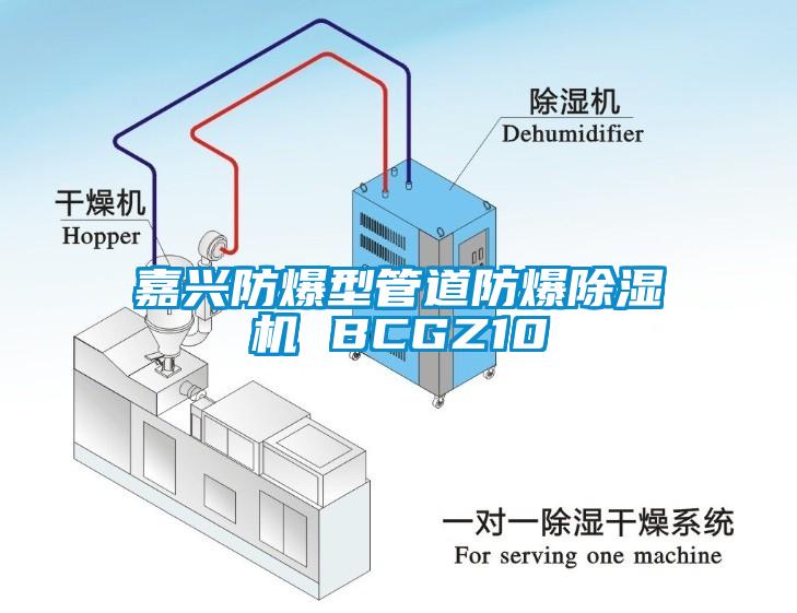 嘉興防爆型管道防爆除濕機 BCGZ10