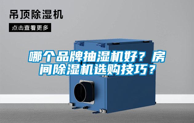 哪個(gè)品牌抽濕機(jī)好？房間除濕機(jī)選購技巧？