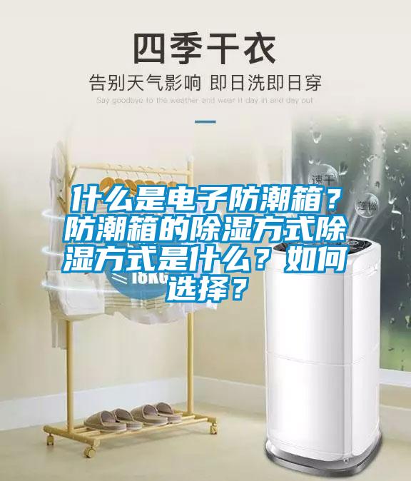 什么是電子防潮箱？防潮箱的除濕方式除濕方式是什么？如何選擇？