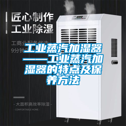 工業蒸汽加濕器——工業蒸汽加濕器的特點及保養方法