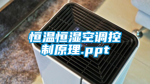 恒溫恒濕空調控制原理.ppt