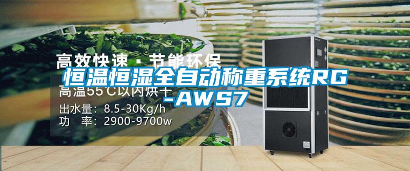 恒溫恒濕全自動稱重系統RG-AWS7