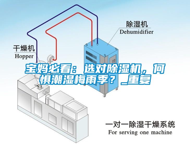 寶媽必看：選對除濕機，何懼潮濕梅雨季？_重復