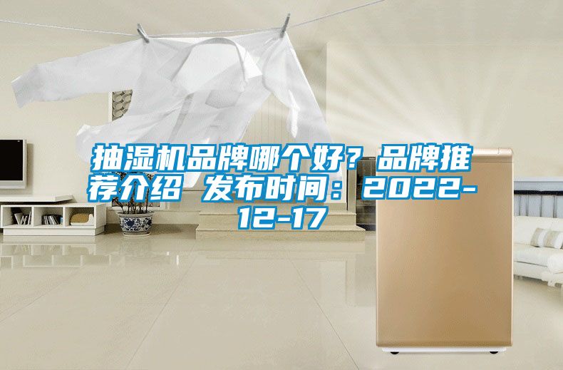 抽濕機品牌哪個好？品牌推薦介紹 發布時間：2022-12-17