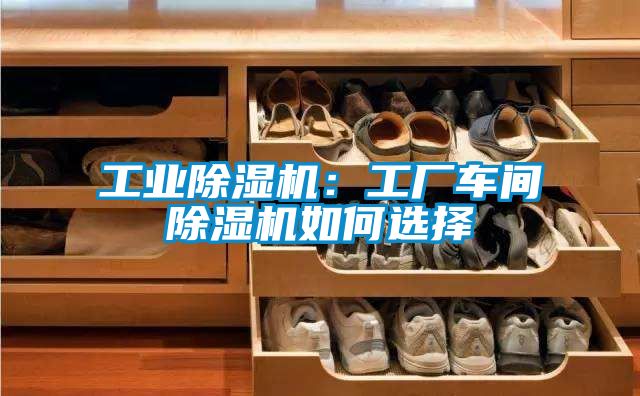 工業除濕機：工廠車間除濕機如何選擇