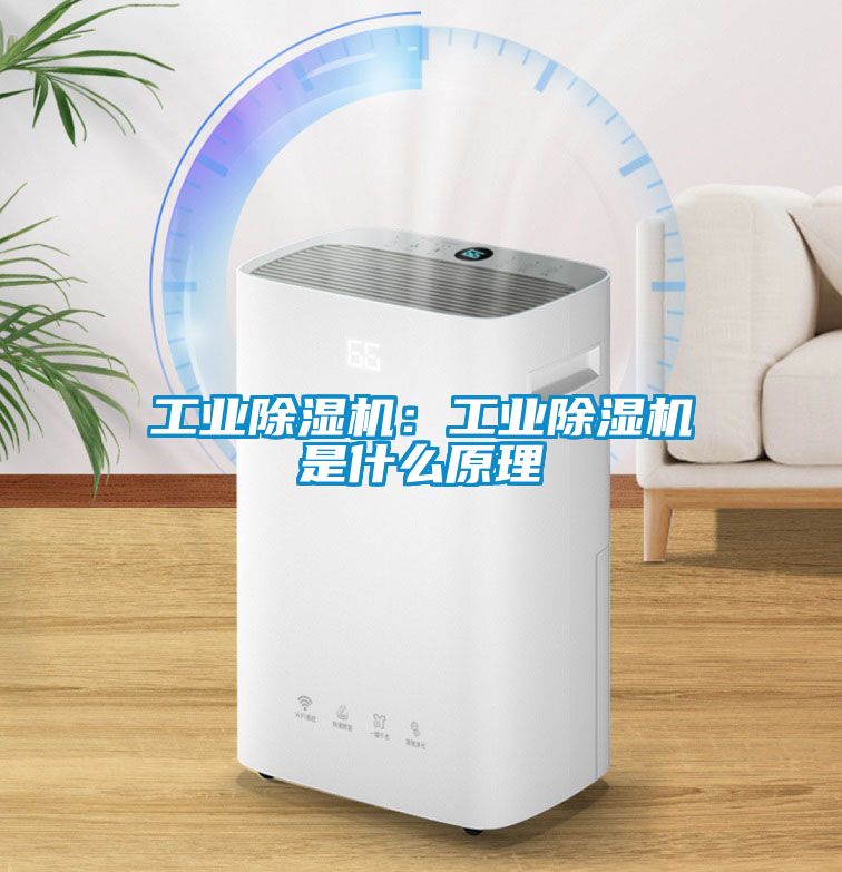 工業除濕機：工業除濕機是什么原理