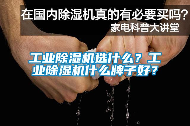 工業(yè)除濕機(jī)選什么？工業(yè)除濕機(jī)什么牌子好？