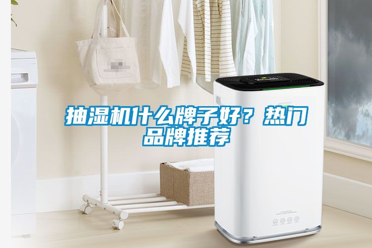 抽濕機什么牌子好？熱門品牌推薦