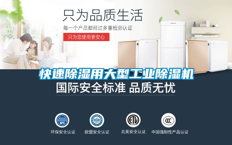 快速除濕用大型工業除濕機