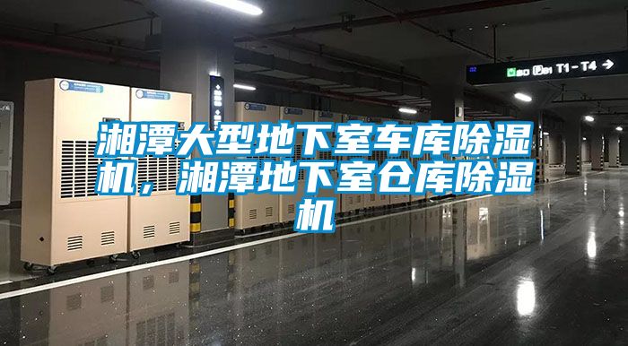 湘潭大型地下室車庫除濕機，湘潭地下室倉庫除濕機