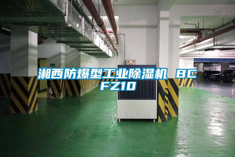 湘西防爆型工業除濕機 BCFZ10